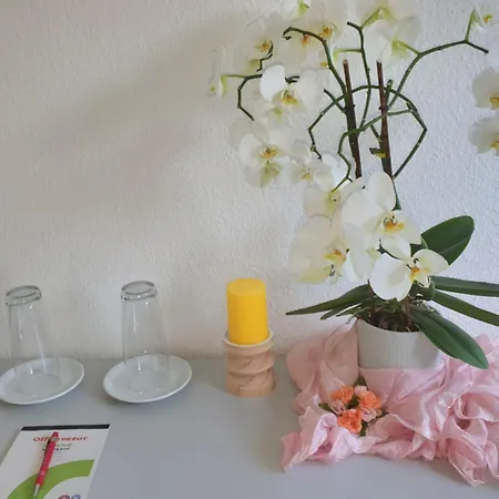 Nicht Buchen- Zimmer Geloest