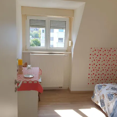 Nicht Buchen- Zimmer Geloest バイブリンゲン
